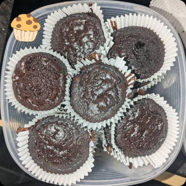 Chocolate Cupcakes