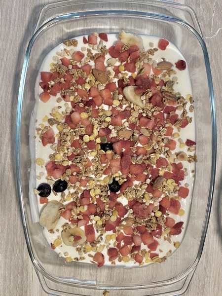 frozen yoghurt bars
