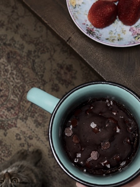 low cal chocolate mug cake