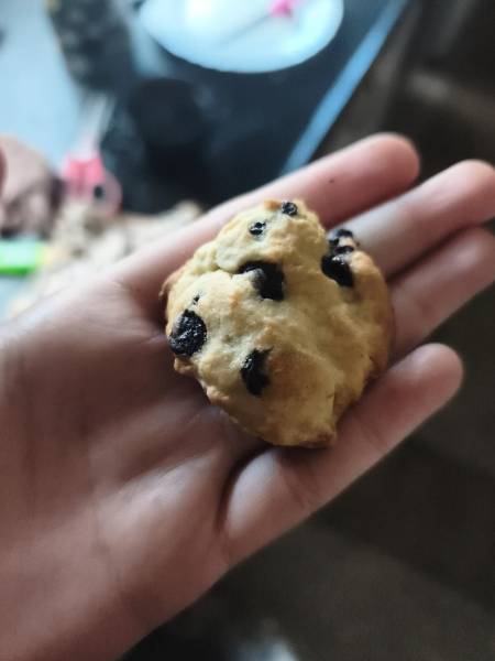 galleta con chips