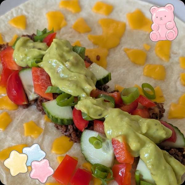Vegetarian Tortilia Wrap