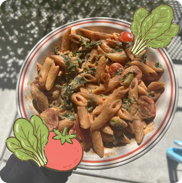 creamy tomato pasta