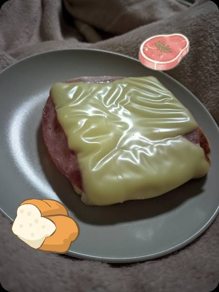 Cheese ham Toast